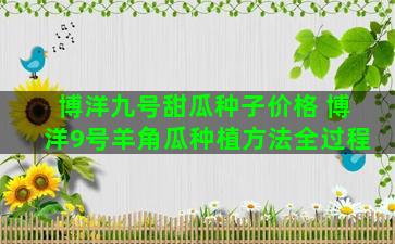 博洋九号甜瓜种子价格 博洋9号羊角瓜种植方法全过程